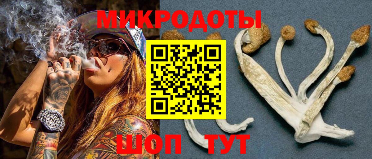 Псилоцибиновые грибы GOLDEN TEACHER  Псилоцибиновые грибы Psilocybine cubensis  Вход с VPN  Нефтекумск 