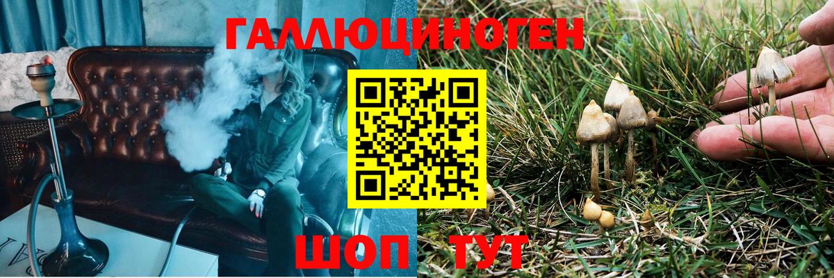 Псилоцибиновые грибы Cubensis Нефтекумск